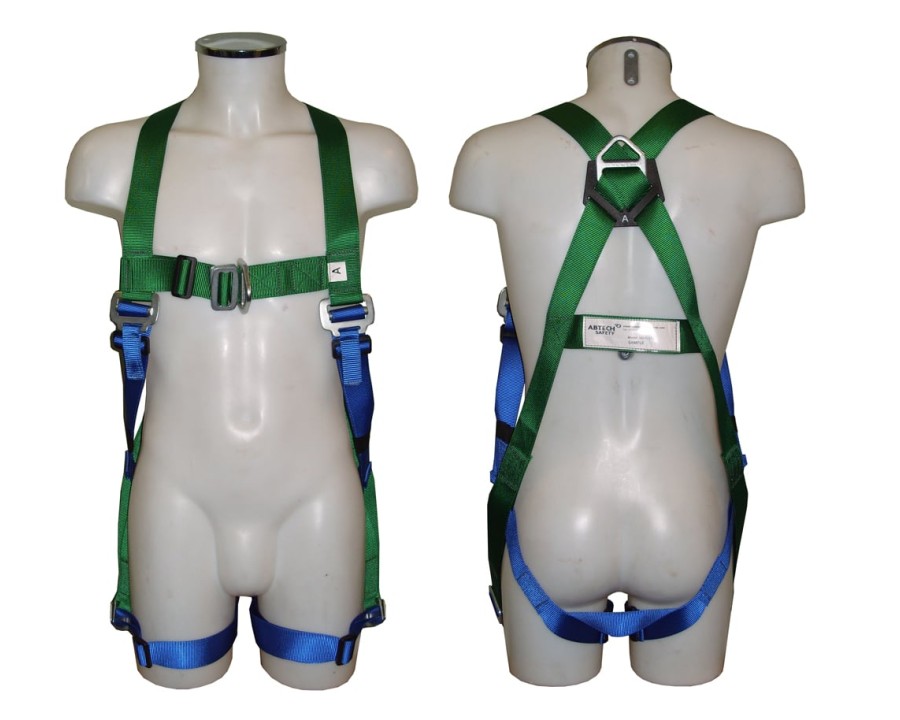 Abtech Safety Two Point Harness AB20