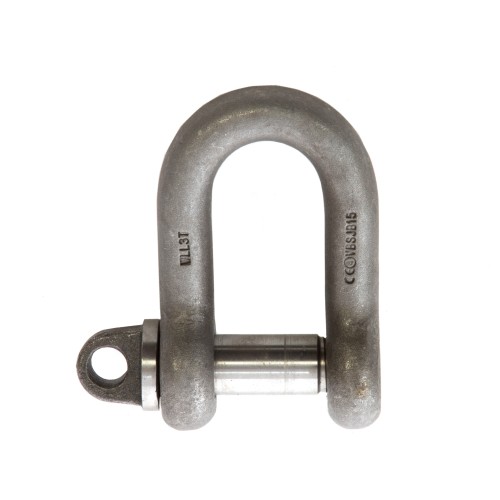 BS Self Colour Large Dee Shackle